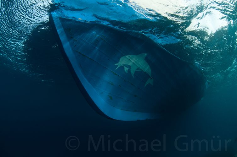 © copyright Blue Waves - Ocean Window